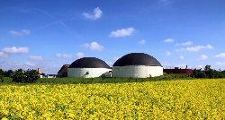 Biogas ist ein zentraler Energieträger der Zukunft