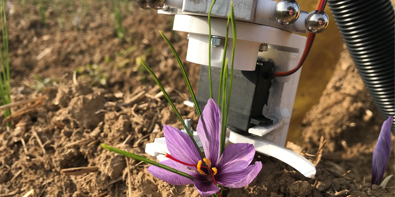 Innovation Matters - Harvest machine with saffron blossom