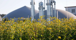 Zukunft Biogas 2025