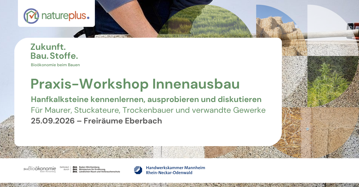 Praxis-Workshop Innenausbau