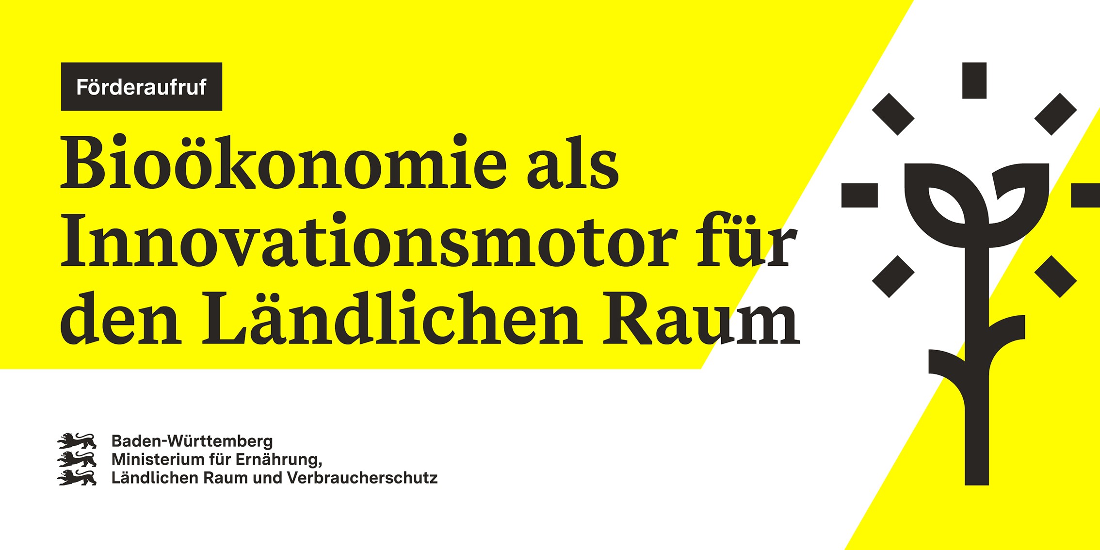Zweiter Förderaufruf - Bioökonomie: Innovationsmotor für den Ländlichen Raum