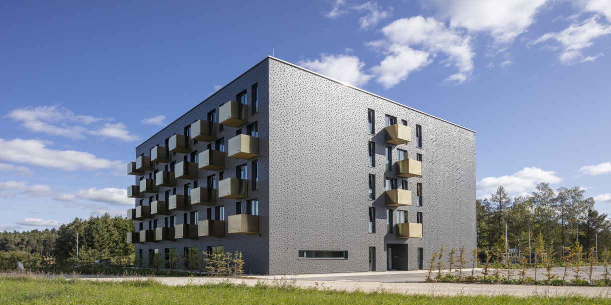 Gebäude nach Vorbild Nebeltrinker-Käfer