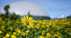 Süddeutscher Biogasgipfel: Hauk und Kaniber fordern Biomassepaket 2.0