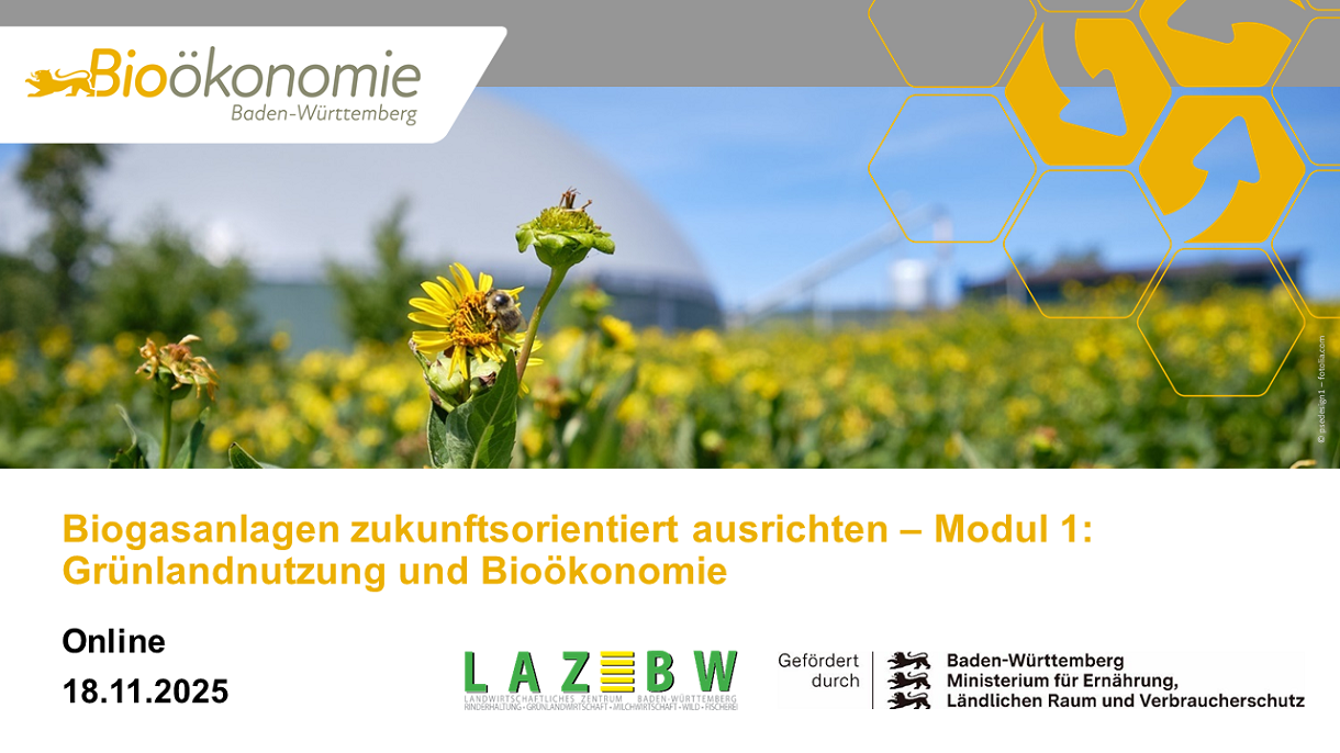 Biogasanlagen zukunftsorientiert ausrichten - Modul 1 Grünlandnutzung und Bioökonomie