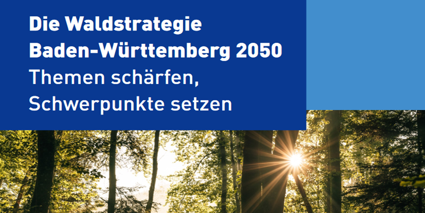 Waldstrategie