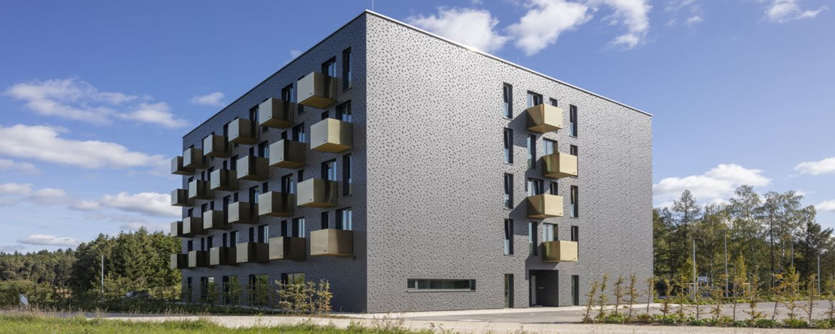 Gebäude nach Vorbild Nebeltrinker-Käfer