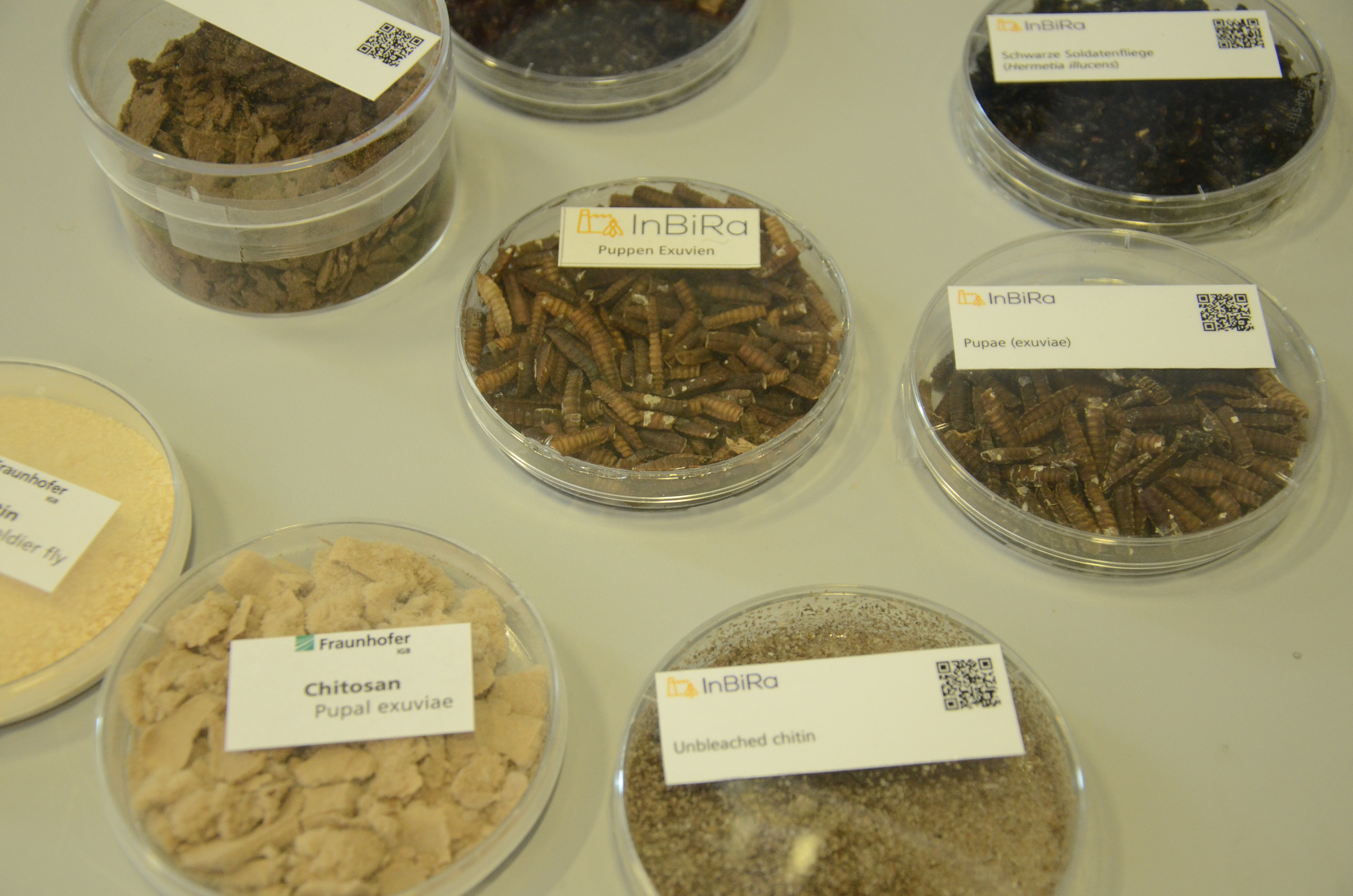 Produkte der Insektenbioraffinerie