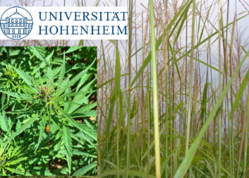 uhoh_kulturpflanzen.PNG