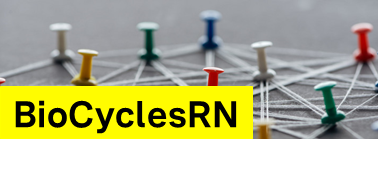 BioCyclesRN