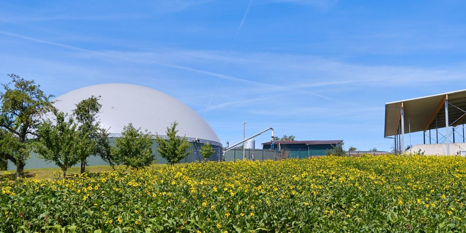 Zukunft Biogas: Perspektiven für Kommunen und Landwirtschaft