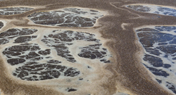 Sewage sludge Sewage sludge