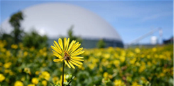 Zukunft Biogas Plus