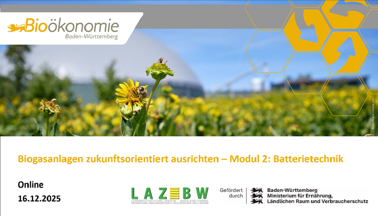 Biogasanlagen zukunftsorientiert ausrichten - Modul 2 Batterietechnik